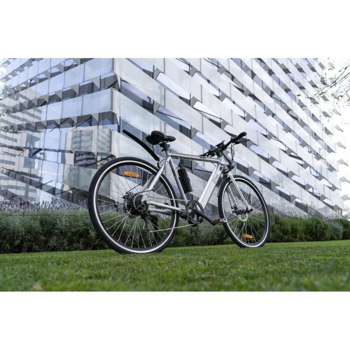 Bicicleta Eléctrica Youin BK1500 NEW YORK 29" 250W Gris 250 W 7800 mAh 29" 1