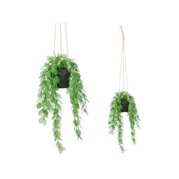 Planta Hoja Partida para Colgar Ibergarden - Verde y Negro, 27x36x17 cm (12 Unidades) Planta Hoja Partida para Colgar Ibergarden - Verde y Negro, 27x36x17 cm (12 Unidades)