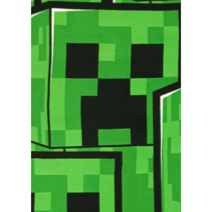 Minecraft Cuadros 100 x 140 cm 3