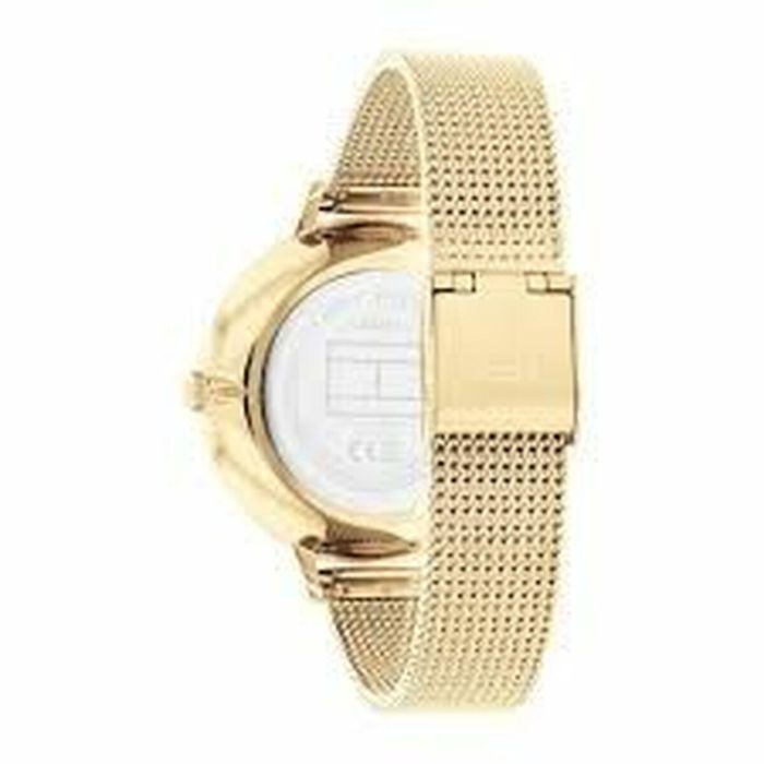 Reloj Mujer Tommy Hilfiger 1782579 (Ø 38 mm) 1 Reloj Mujer Tommy Hilfiger 1782579 (Ø 38 mm) 1