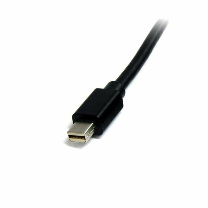 Cable Mini DisplayPort Startech MDISP2M 4K Ultra HD 2 m Negro 1