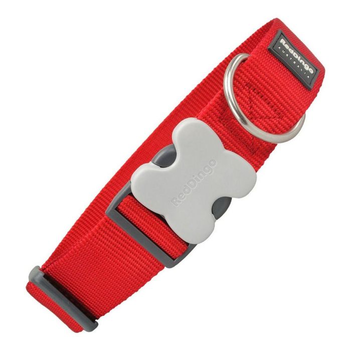 Red Dingo Collar para Perro de Nylon Extra Ancho Rojo, 40mm x 50-80cm, Ajustable, Fuerte y Cómodo con Hebilla de Acero Inoxidable