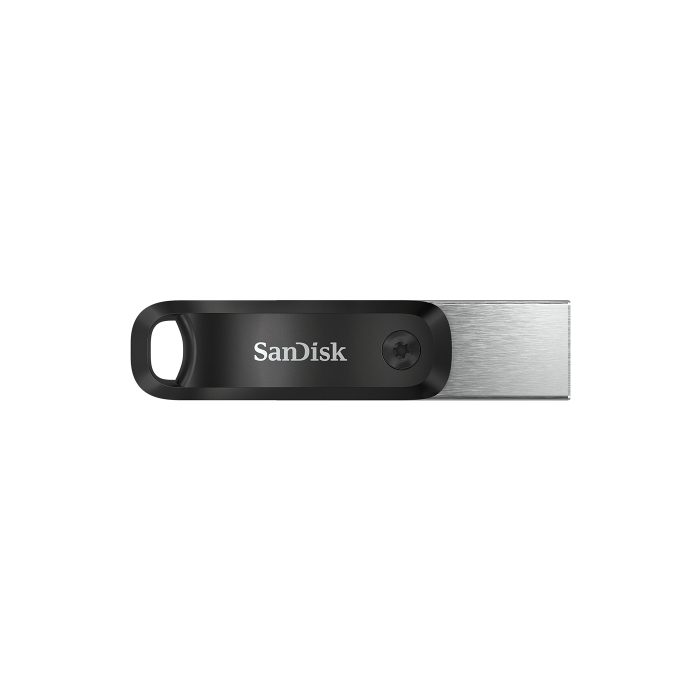 Sandisk SDIX60N-256G-GN6NE Unidad Flash USB 256 GB 3.2 Gen 1 Gris, Plata 1