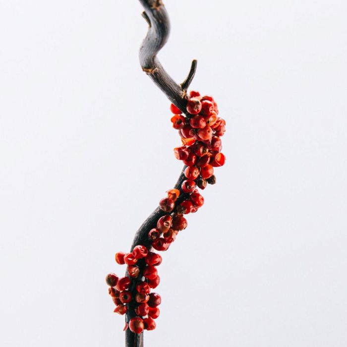 Loewe 7 Eau de Toilette Vaporizador 100 ml Hombre Loewe 7 Eau de Toilette Vaporizador 100 ml Hombre