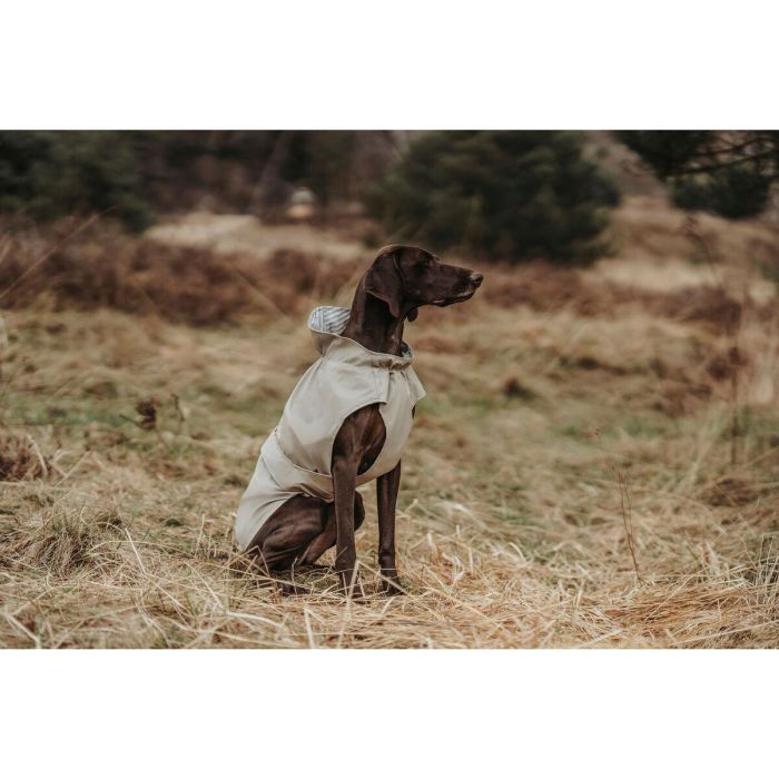 Abrigo para Perro Hunter Milford Beige 40 cm 3 Abrigo para Perro Hunter Milford Beige 40 cm 3