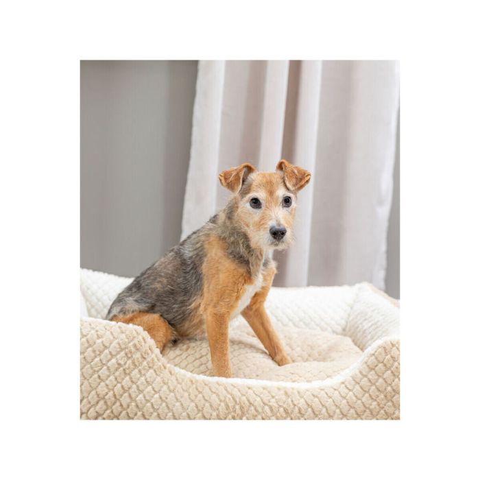 Cama para Perro Trixie Kaline Mio Marrón Crema 50 x 40 cm 2 Cama para Perro Trixie Kaline Mio Marrón Crema 50 x 40 cm 2