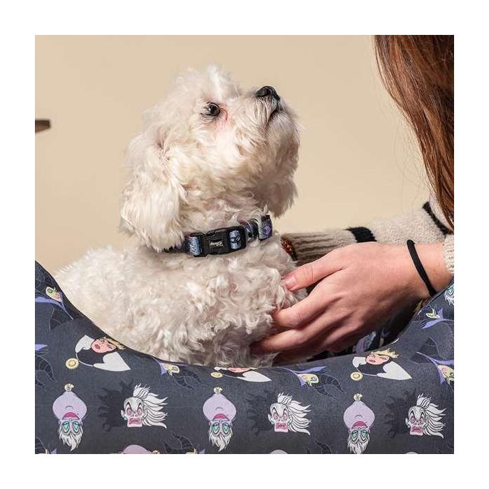Cerdá T1XXS:XXS/XS Collar Premium para Perros Disney Villanas XXS/XS Color Gris 4 Cerdá T1XXS:XXS/XS Collar Premium para Perros Disney Villanas XXS/XS Color Gris 4