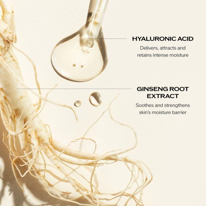 Shiseido Essential Energy Hydrating Cream 5 Shiseido Essential Energy Hydrating Cream 5