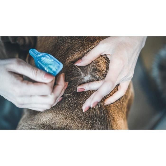 Vetocanis Pipeta Action Duo Spot-on Repelente de Pulgas y Garrapatas para Perros Grandes - Juego de 2 Pipetas Antiparasitarias 3 Vetocanis Pipeta Action Duo Spot-on Repelente de Pulgas y Garrapatas para Perros Grandes - Juego de 2 Pipetas Antiparasitarias 3