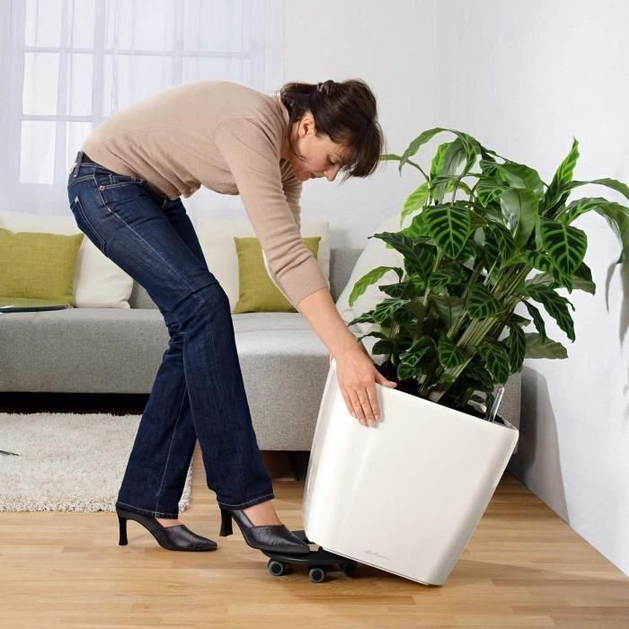 Maceta - LEC - Quadro Premium LS 50 - antracita metalizada - 50 x 50 x 46,5 cm - 53 L 2 Maceta - LEC - Quadro Premium LS 50 - antracita metalizada - 50 x 50 x 46,5 cm - 53 L 2