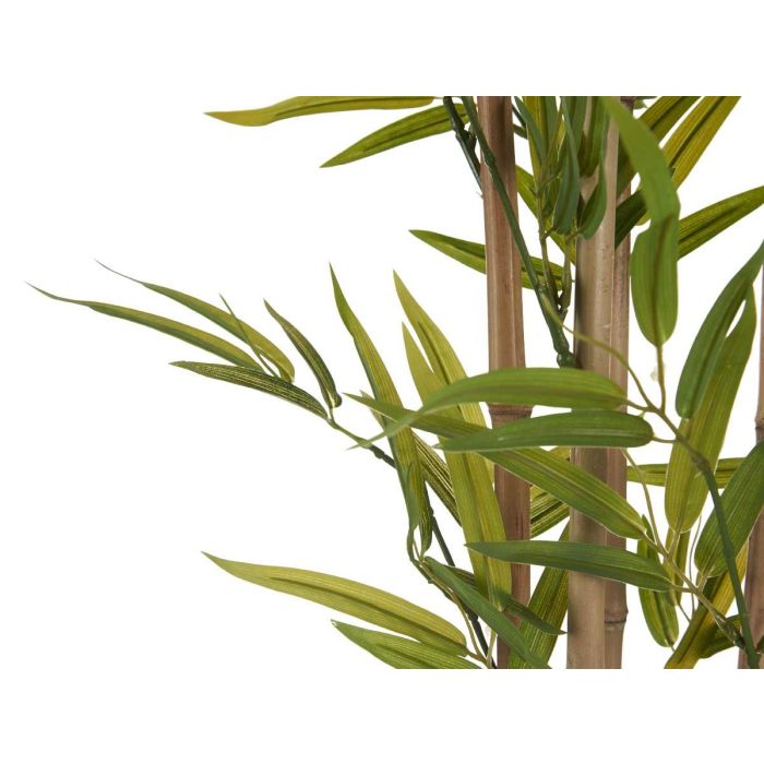 Planta con Maceta Bambú Pequeño 120 cm Ibergarden - Verde, 70x70x120 cm 2 Planta con Maceta Bambú Pequeño 120 cm Ibergarden - Verde, 70x70x120 cm 2