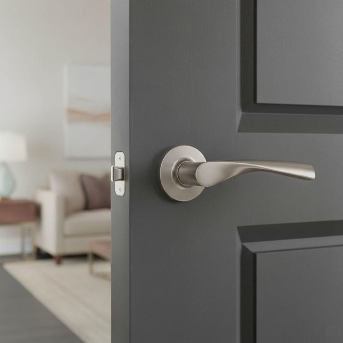 HERRAJES ALK Manivela Con Roseta Zeus D53, Manilla de Puerta en Acero Inoxidable 304 2