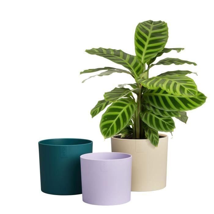 Maceta - Elho - Lex Pott - Set 14 - Blanco Verde Morado - L 14 x An 13,8 x Al 12 cm - Interior - 100% reciclado 4 Maceta - Elho - Lex Pott - Set 14 - Blanco Verde Morado - L 14 x An 13,8 x Al 12 cm - Interior - 100% reciclado 4
