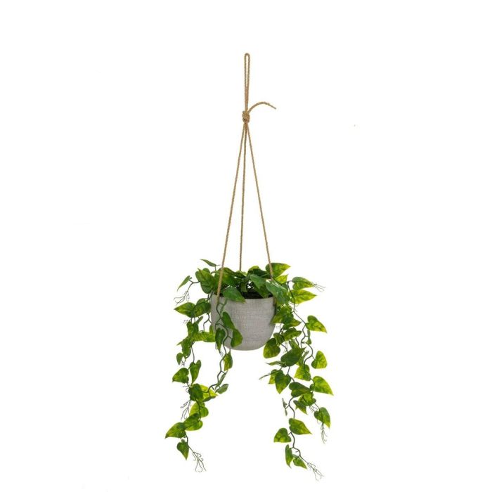 Planta Decorativa Polietileno Cemento 23 x 23 x 46 cm 1