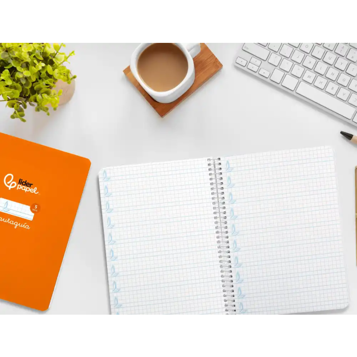 Liderpapel Cuaderno Pautaguía A5 Tapa Dura 80 Hojas 90gr Cuadro Pautado 5mm Naranja 7