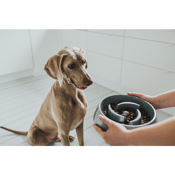 Hunter Comedero Antiglotones Atlanta para Perros 550 ml Melamina Gris Antideslizante Apto Lavavajillas 1