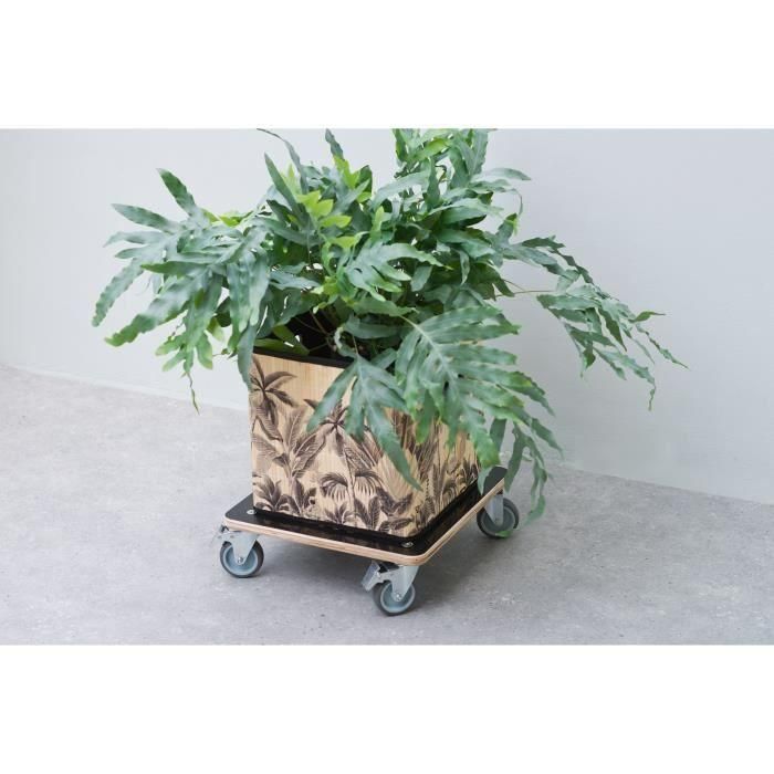 Nature 446407 Carrito para plantas cuadrado de 38x38 cm en madera negra 1 Nature 446407 Carrito para plantas cuadrado de 38x38 cm en madera negra 1