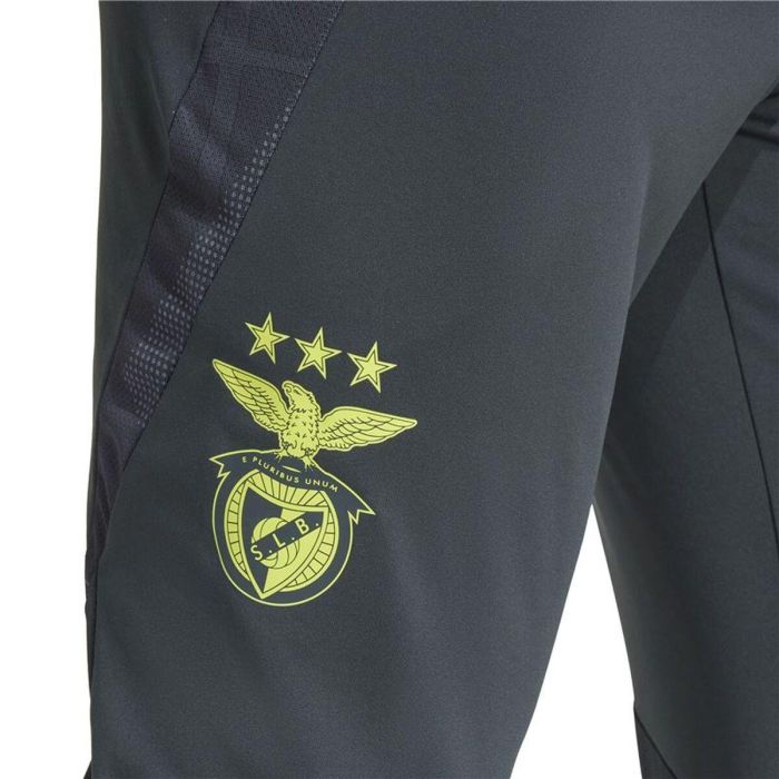 Pantalón de Entrenamiento de Fútbol para Adultos Adidas SL Benfica 24/25 Tiro24 Gris Hombre XS 2