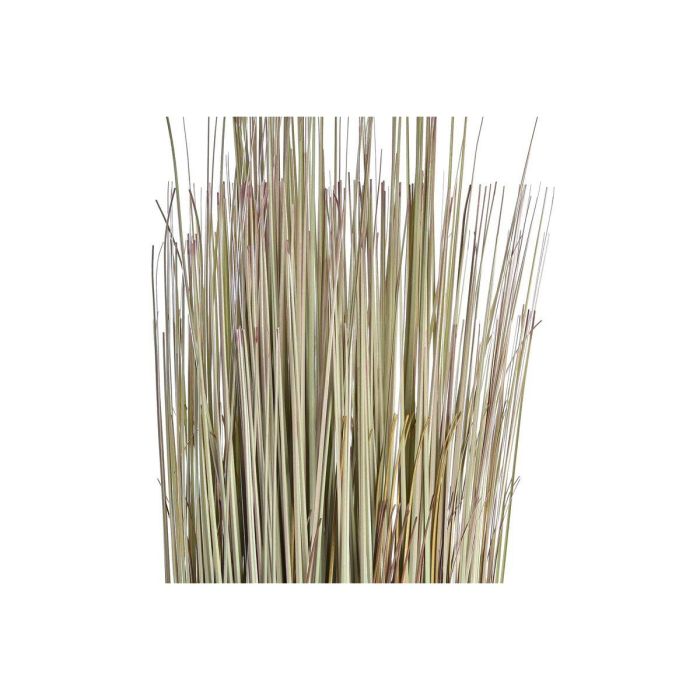 Planta DKD Home Decor Marron Verde 25 x 68 x 25 cm (2 Unidades) 2