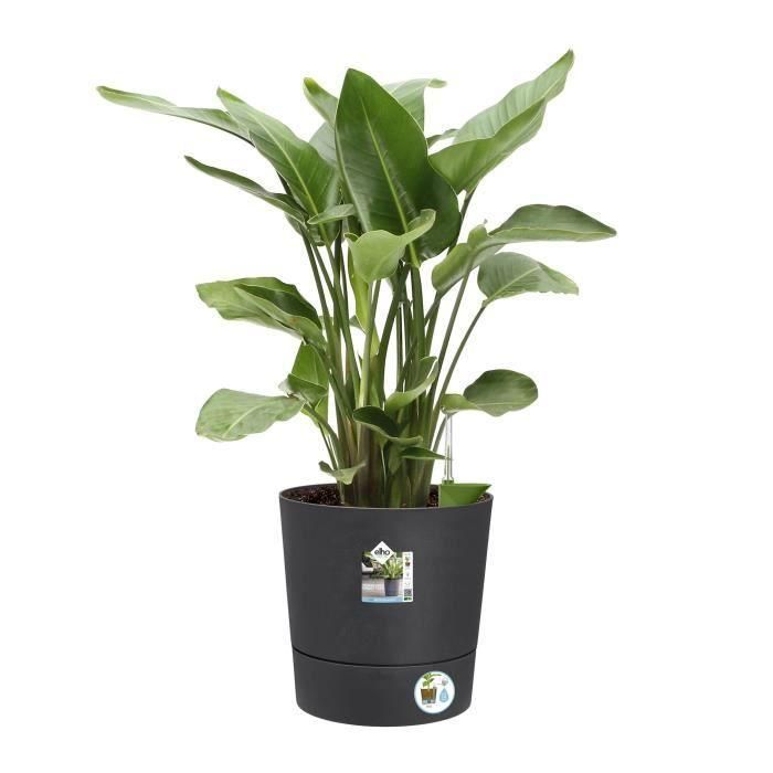 Elho Greensense Aqua Care Round 43 - Gris - Ø 43 x H 43 cm - interior/exterior - 100% reciclado 2 Elho Greensense Aqua Care Round 43 - Gris - Ø 43 x H 43 cm - interior/exterior - 100% reciclado 2