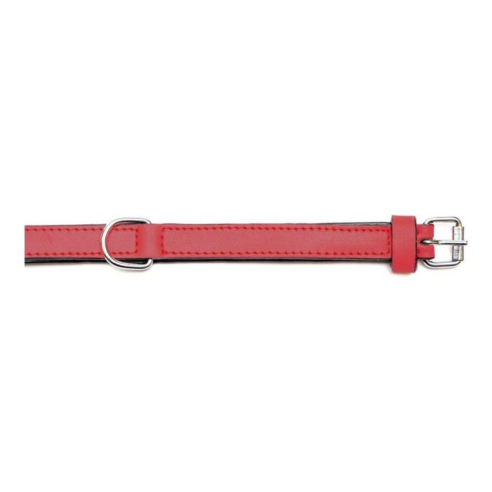 Gloria Collar Piel Acolchado Rojo para Perro 45 cm X 20 mm