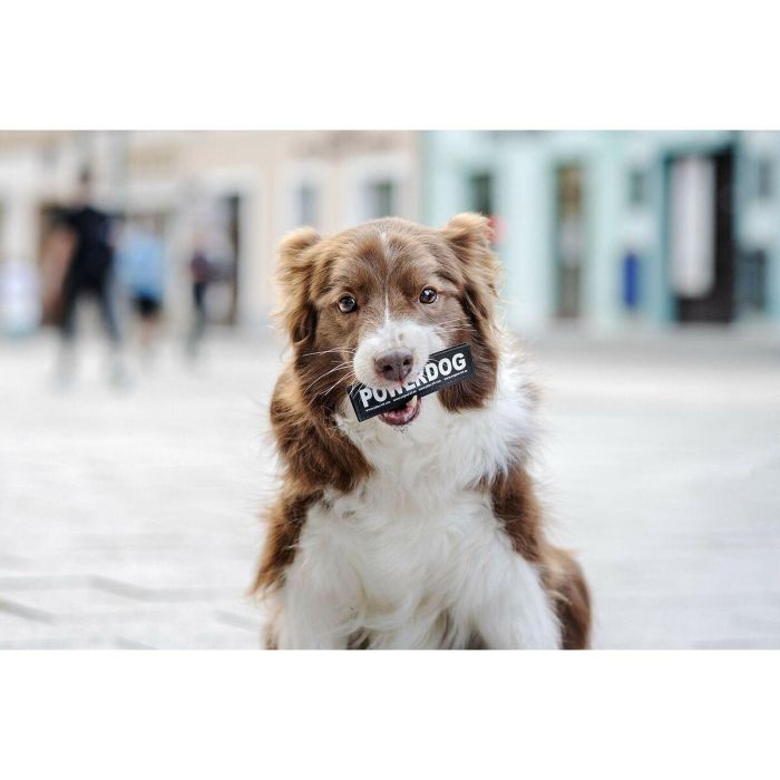 Etiquetas para arnés Julius K9 HONEY XS 1