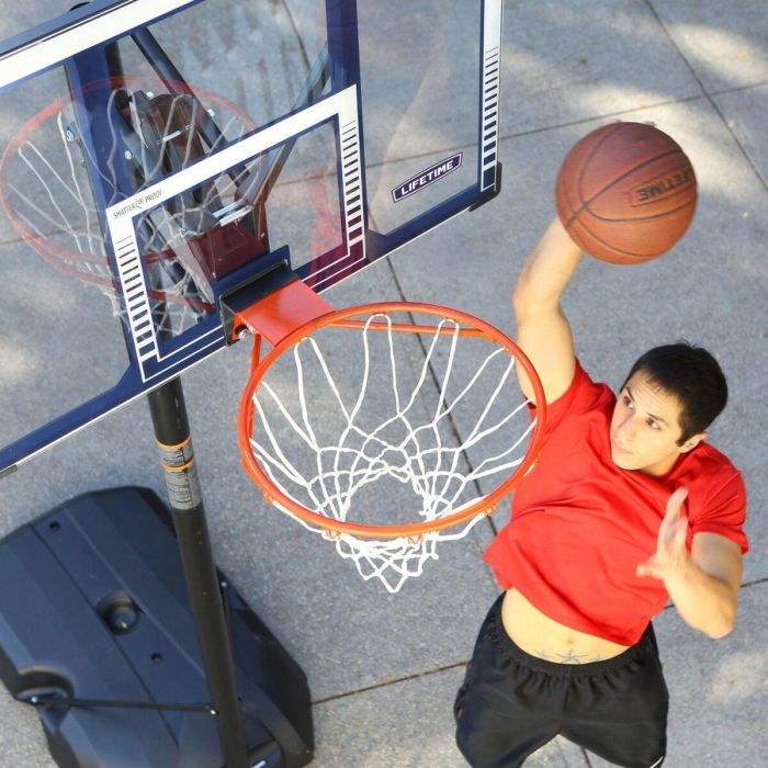 Canasta de Baloncesto Lifetime 122 x 305 x 187 cm 3