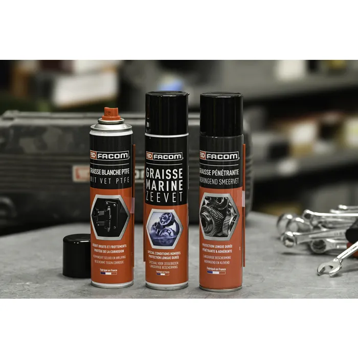 FACOM Grasa Penetrante Resistente Hidrofóbico 300 ml Protección contra Desgaste y Corrosión 1