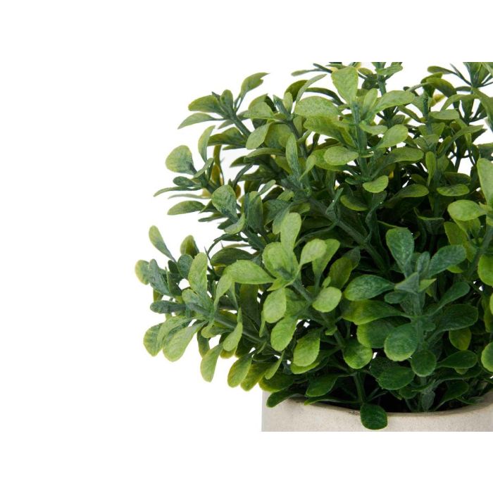 Maceta Cemento Flores Verdes Surtidos Ibergarden 18X21CM (12 Unidades) 2 Maceta Cemento Flores Verdes Surtidos Ibergarden 18X21CM (12 Unidades) 2