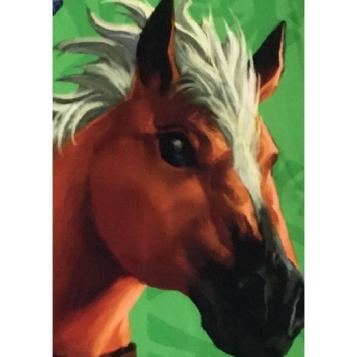 Manta Sherpa - ZELDA - Link y Epona - 100 x 150 cm 4 Manta Sherpa - ZELDA - Link y Epona - 100 x 150 cm 4