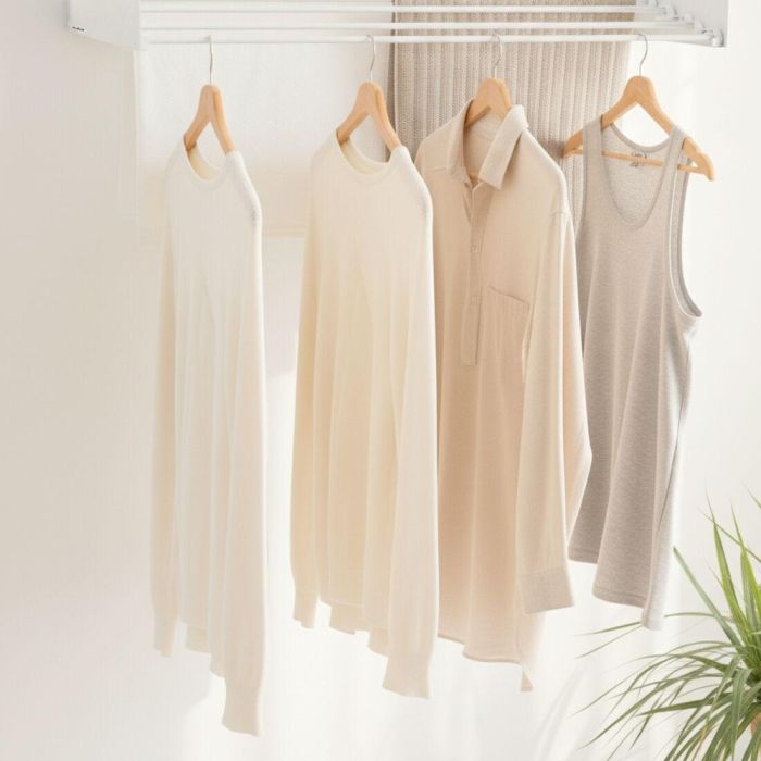 Tendedero de Pared Plegable Extensible Retráctil Dryva 80 InnovaGoods 0 Tendedero de Pared Plegable Extensible Retráctil Dryva 80 InnovaGoods 0