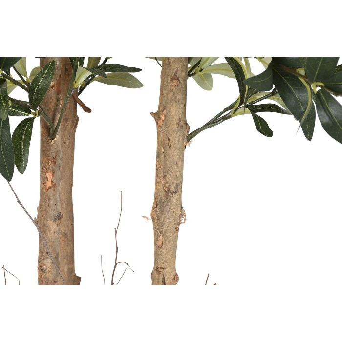 Arbol Mediterraneo DKD Home Decor Verde 60 x 180 x 60 cm (2 Unidades) 2