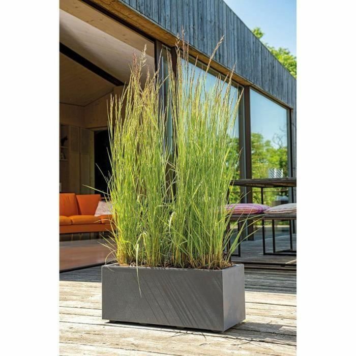 Deroma 9H924SZ Jardinera Muret Millennium R Antracita con reserva de agua, 59 cm 3 Deroma 9H924SZ Jardinera Muret Millennium R Antracita con reserva de agua, 59 cm 3