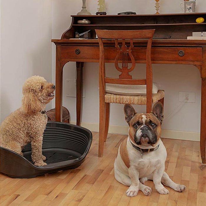 Ferplast Cama de Plástico Siesta para Perro y Gato Deluxe 6 Negro 1 Ferplast Cama de Plástico Siesta para Perro y Gato Deluxe 6 Negro 1