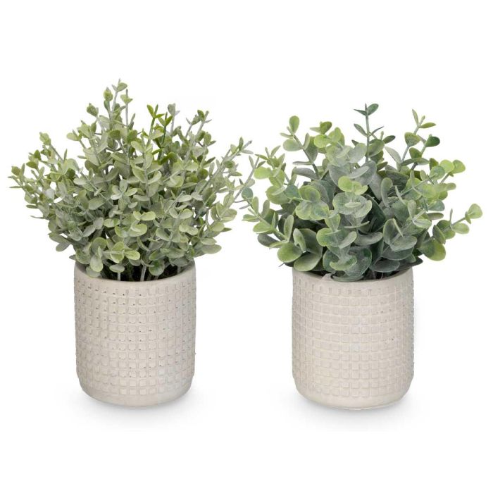 Maceta Cuadrada Hojas Verdes Surtidos Ibergarden 20x35x15cm (24 Unidades) 2 Maceta Cuadrada Hojas Verdes Surtidos Ibergarden 20x35x15cm (24 Unidades) 2
