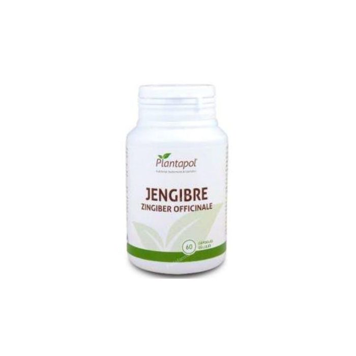 PLANTAPOL Jengibre 600mg, 60 Cápsulas. Tónico y estimulante circulatorio y digestivo.