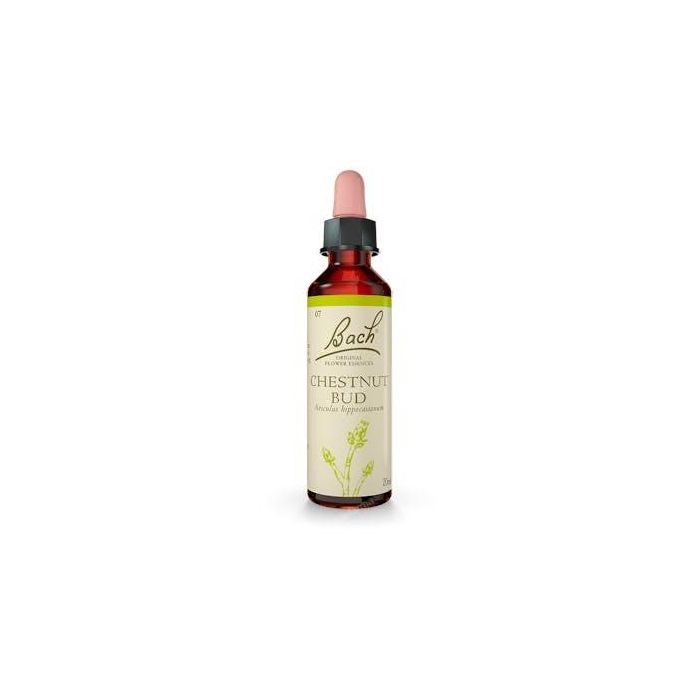 Flores Bach Original Chestnut Bud Brote Castaño 20ml