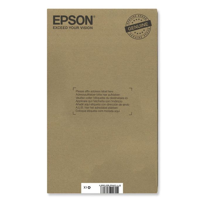 Cartuchos de recambio Epson C13T24384510 Multicolor 1