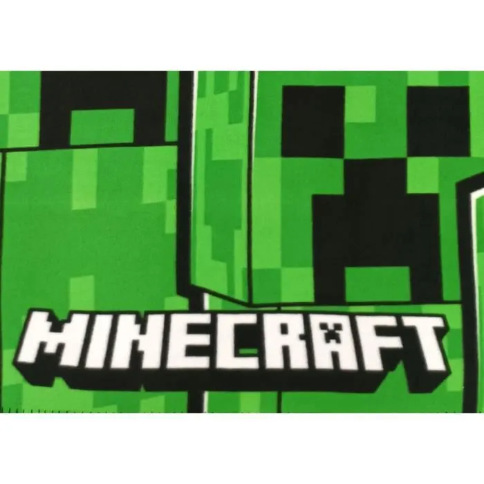 Minecraft Cuadros 100 x 140 cm 1