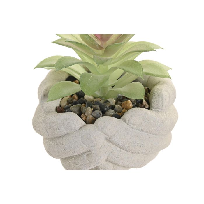 Maceta Tropical DKD Home Decor Gris Verde 12 x 11 x 10 cm (6 Unidades) 1 Maceta Tropical DKD Home Decor Gris Verde 12 x 11 x 10 cm (6 Unidades) 1