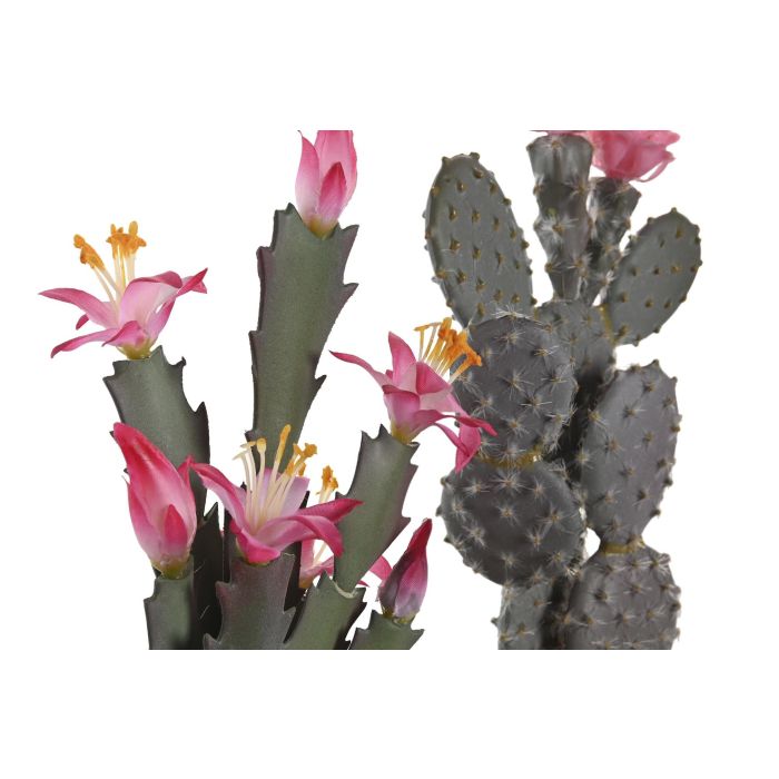 DKD Home Decor Planta Cactus Verde Rosa 15 x 29 x 15 cm (4 Unidades) 1 DKD Home Decor Planta Cactus Verde Rosa 15 x 29 x 15 cm (4 Unidades) 1