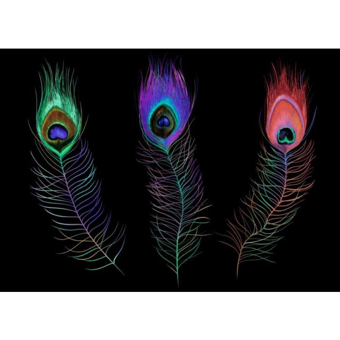 DKD Home Decor Bandeja Decorativa LED Moderna con Plumas de Pavo Real, Colección Peacock, de PVC, Colores Negro y Multicolor 38x48x7 cm 1