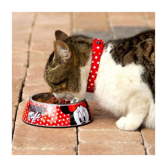 Cerdá T4L:L Comedero Grande para Perro de Disney Minnie Mouse, Talla L, Diseño Multicolor, Recipiente para Comida de Mascotas 3