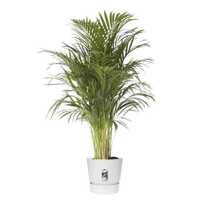 Maceta redonda ELHO Greenville 47 - Exterior - Ø 47 x H 44,1 cm - Blanco 4 Maceta redonda ELHO Greenville 47 - Exterior - Ø 47 x H 44,1 cm - Blanco 4