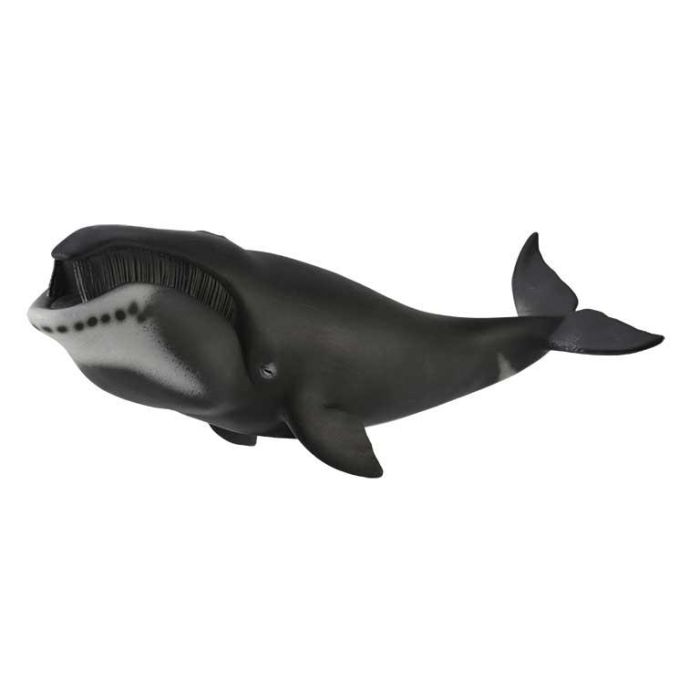 Collecta 88652 Ballena de Groenlandia Figura Réplica Realista XL Pintada a Mano Detallada Animal Marino Educacional +3 Años