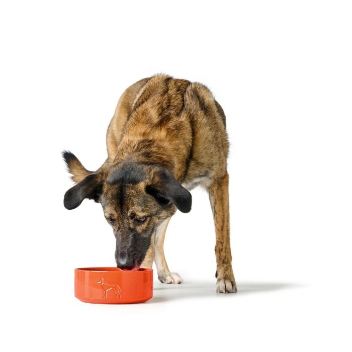 Comedero para Perro Hunter OSBY Naranja Cerámica 550 ml 3 Comedero para Perro Hunter OSBY Naranja Cerámica 550 ml 3