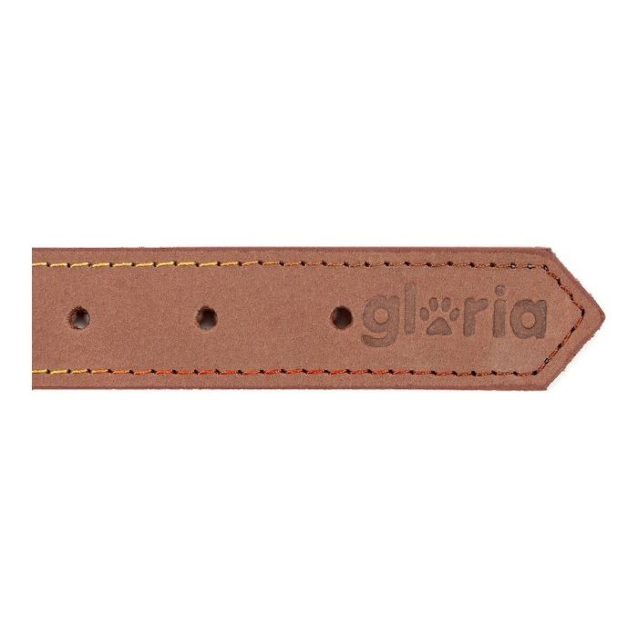 Collar para Perro Gloria Oasis Marrón (1,2 x 35 cm) 1 Collar para Perro Gloria Oasis Marrón (1,2 x 35 cm) 1