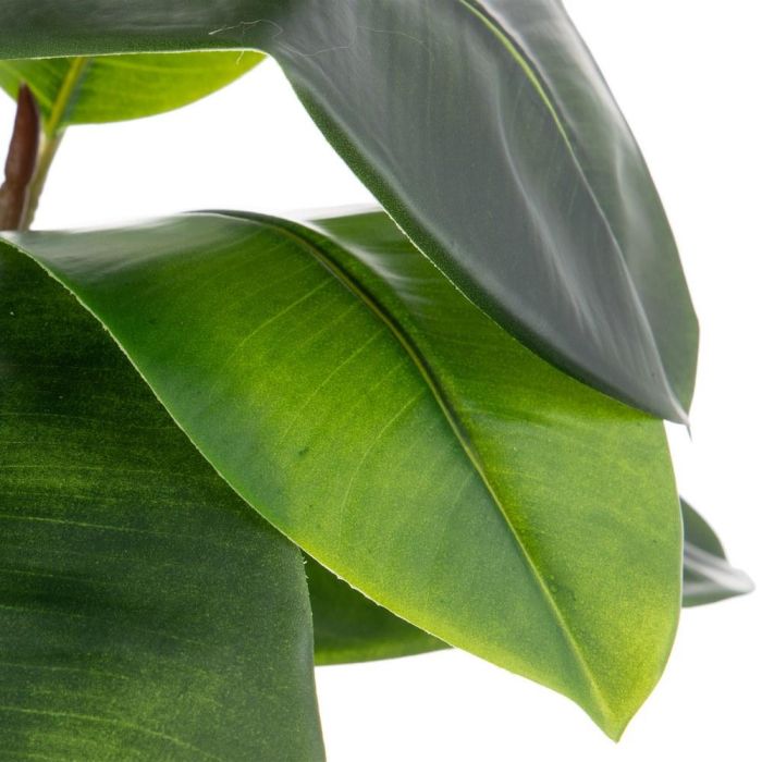 Rama Caucho Verde Artificial Decoración 55 X 50 X 130 cm