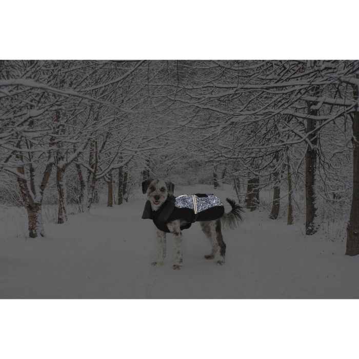 Dog Gone Smart Abrigo Parka Aspen para Perro Impermeable Cortavientos Reflectante Meteor Antimanchas Repez-It Negro 60 cm 9 Dog Gone Smart Abrigo Parka Aspen para Perro Impermeable Cortavientos Reflectante Meteor Antimanchas Repez-It Negro 60 cm 9