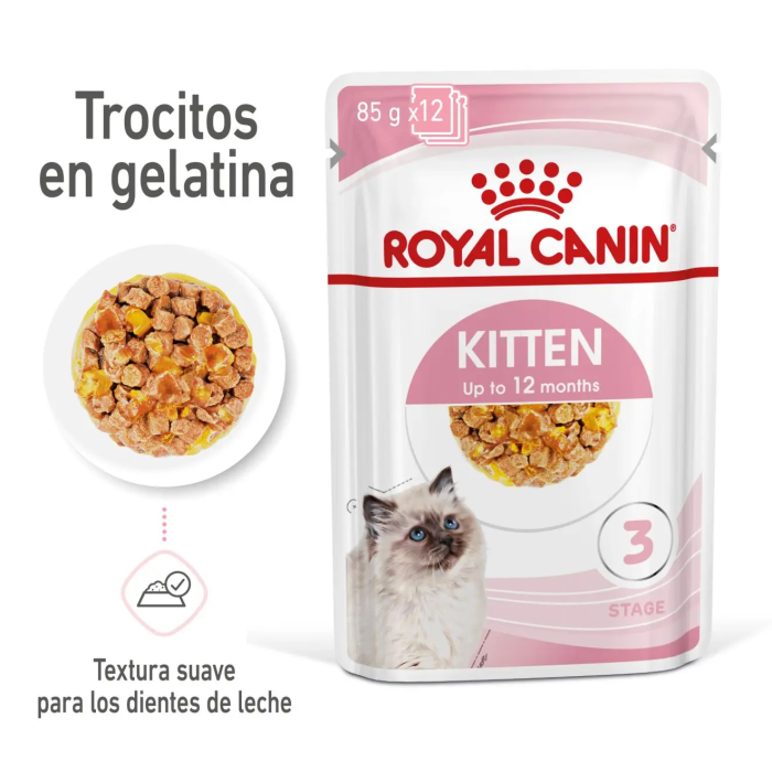 Royal Feline Kitten Gelatina 12x85 gr
